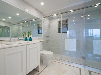Elegant Glass Shower Doors